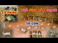 Quanglinhvlogs || Bất Ngờ Với Số Lượng 