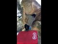 笠間 ベンチ岩sd 2級 【クライミングチャンネル】外岩ボルダリングの動画・トポはクライミングチャンネル 【climbing areas and boulders in japan】