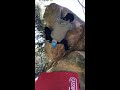 笠間 ベンチ岩sd 2級 【クライミングチャンネル】外岩ボルダリングの動画・トポはクライミングチャンネル 【climbing areas and boulders in japan】