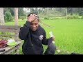 wah nikmat bener daging burung sawah hasil berburu...