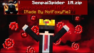 I Reviewed SenpaiSpider 1 Million Texture Pack!