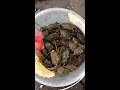 holland crab fishing the catch 2017 0812