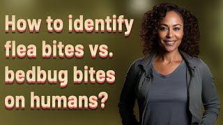 How to identify flea bites vs. bedbug bites on humans?