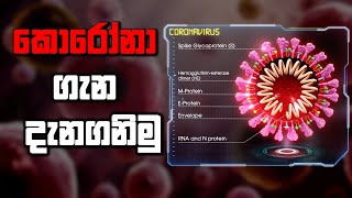 කොරෝනා වෛරසය - Corona virus වැළදී ඇතිදැයිසැකයක් ඇතිවිට කළ යුතු හොදම දේ කුමක්ද?