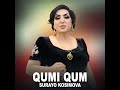 qumi qum