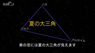 7月の星空情報・天文現象（木星と土星が見頃／夏の大三角／七夕／月の暦／部分月食（西日本））