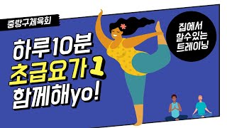 중랑구체육회 온라인체육관(어르신 프로그램) 문화체육관광부/국민체육진흥공단/국민체력100/집콕운동/서울아운동하자/스포츠7330