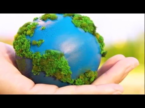 Ley General De Equilibrio Ecologico Y Proteccion Al Ambiente - YouTube