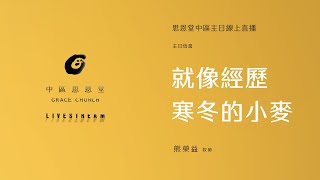 就像經歷寒冬的小麥 - 亮點教會 熊榮益 牧師 /  2025/01/26