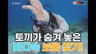 [월드비디오] 🐰토끼🐰가 바다에 숨겨 놓은 보물 찾기🔐!