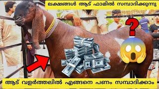 ആട് വളർത്തലിൽ എങ്ങനെ പണം സമ്പാദിക്കാം/How can earn money in goat farming