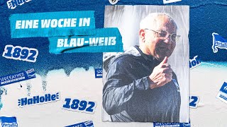 So lief die erste Woche unter Felix Magath | 27. Spieltag | Hertha BSC vs. TSG 1899 Hoffenheim