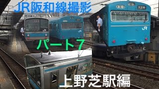 JR阪和線撮影記  パート7  上野芝駅編