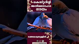 Rakthakkottakkullil |  കെസ്റ്ററിന്റ അതിമനോഹര ഗാനം |   @JinoKunnumpurathu        #shorts