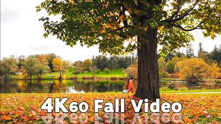 4K Ottawa Canada November Autumn Colors at Dow's Lake