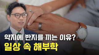 [10분 보물지도🎞] 약지엔 이게 없다고🤭...?! 알고 보면 우리와 가까운 해부학!ㅣ해부학ㅣ이재호 선장 ⚓️ [보물지도]