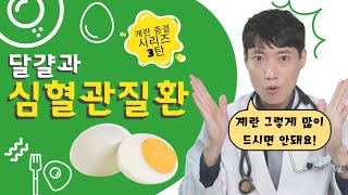 [계란 종결 3탄] 달걀과 심혈관질환 l 계란은 하루에 몇 개까지 먹어도 되는가 l 닥터딩요