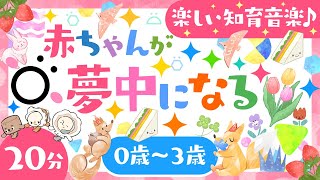 【赤ちゃんが喜ぶ】赤ちゃんが夢中になる楽しい知育音楽🌲ö│泣き止む🌈笑う☀️喜ぶ♫動画│こどものうた│乳児・幼児向け知育番組│0歳/1歳/2歳/3歳の知育アニメ