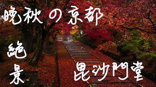 晩秋の京都の絶景「毘沙門堂の敷紅葉」