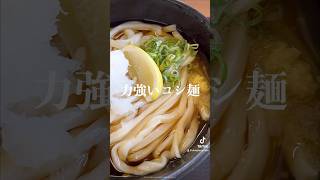 超絶のシコシコ麺！ぶっかけうどん好きにはたまらない！清涼感あふれる出汁とおろし【本格手打ちうどん はゆか】 #讃岐うどん #vivasnut