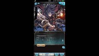 グラブル_限定ボイス_ゼヘク_正月2017