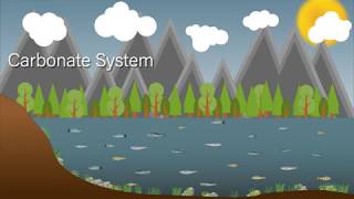 Carbonate Buffering System