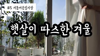 [서툰어른일기장] #5 햇살이 따스한 겨울 - 그릇정리, 설거지, 보리차, 식물들 물주기