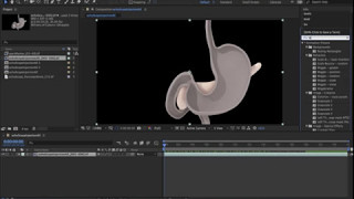 Color Correct Batch Render with Levels 01