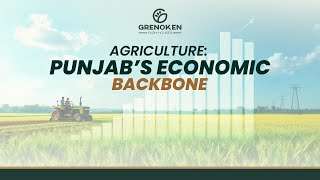 Punjab's Agriculture: The Backbone of Pakistan's Economy | Grenoken Farms Insight #agriculture