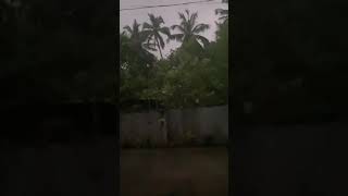 Heavy Raining 🌧,lightning and thunder