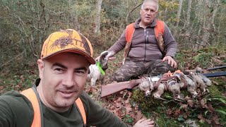 Çulluk Avı 🍁2024 Woodcock Hunting🍁 Ercan Pointer Setter Beccaccia TÜRKİYE