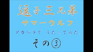 【逗子三兄弟】サマーウルフ【うたってみた】その③