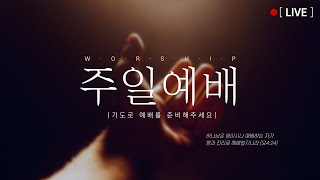 은혜교회  성탄절 예배 / 2024.12.25 (누가복음 2장 )