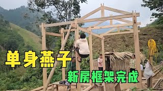 燕子的新房框架施工過程，好生活大房子終于有了 #荒野求生 #荒野独居 #求生挑战 #生存挑战 #荒野