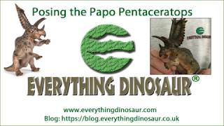 Posing the Papo Pentaceratops