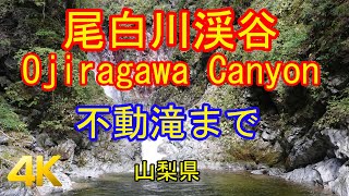 尾白川渓谷（不動滝まで・紅葉） Ojiragawa Canyon GPS地図付・登山 2020/10 [4K]