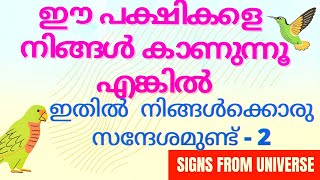 Why do you see these birds when using the - law of attraction Malayalam | Part 2