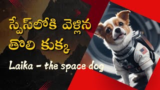 స్పేస్‌లోకి వెళ్లిన తొలి కుక్క – లైకా | LAIKA- The space dog