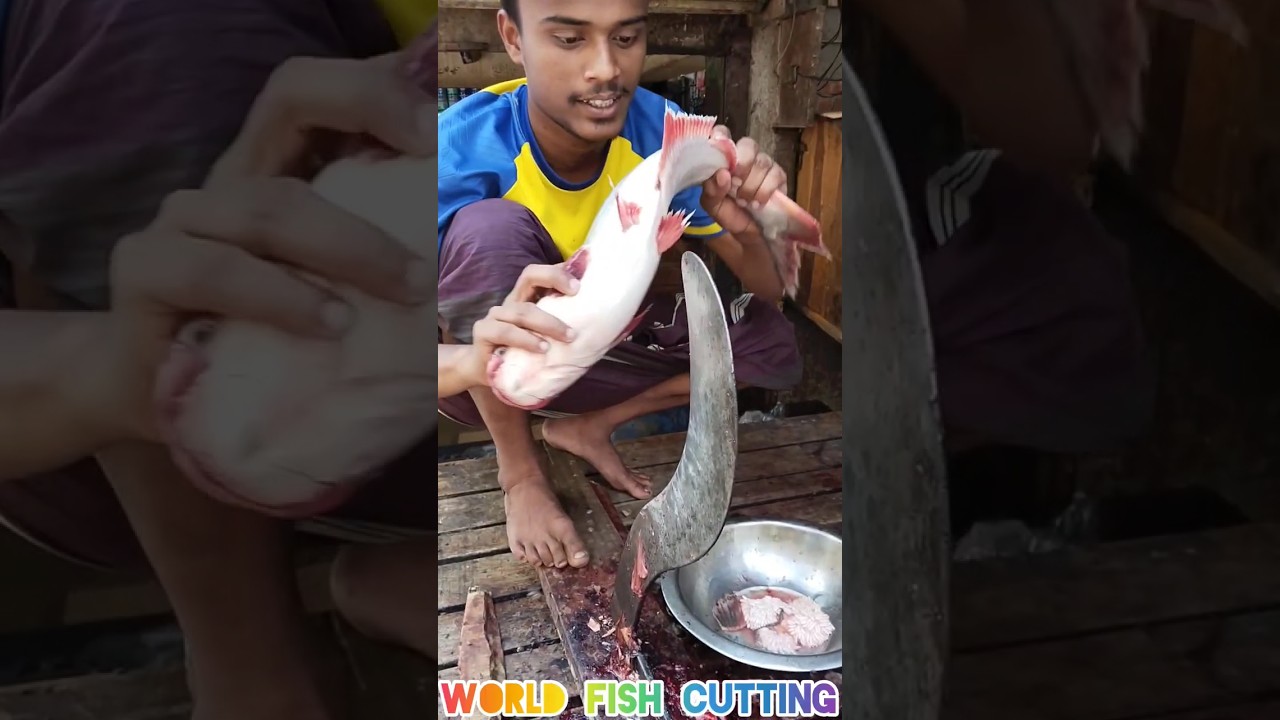 Amazing Big Pangash Fish Cutting Shorts Bigfish Pangash Fish Amazing Big Pangash Fish Cutting Shorts Bigfish Pangash Fish