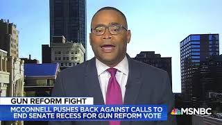 Rep. Veasey joins MSNBC to discuss Ongoing Gun Violence