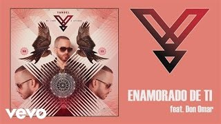 Yandel - Enamorado de Ti (Audio) ft. Don Omar