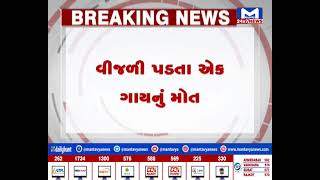 Sabarkantha :તલોદમાં વીજળી પડતા એક ગાયનું મોત   | MantavyaNews