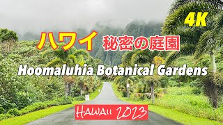 【Hawaii 2023】ハワイ フーマルヒア植物園  Hoomaluhia Botanical Gardens , 4K