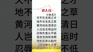 熱門書單#爆款文案#情感#老人言