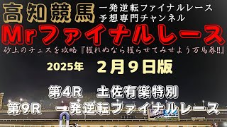 『メインは５頭の接戦の予感？順番だけの堅いレースとなりそう。』Mrファイナルレースの高知競馬予想20250209版