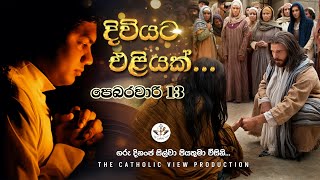 Sinhala Reflection | Daily Reflection 13th February | Rev. Fr. Dinanja Silva | The Catholic View