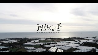 제주강정평화상단 _ BRAND FILM