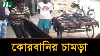 নাটোরে কোরবানির চামড়া বেচাকেনা শুরু