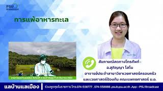 การแพ้อาหารทะเล/รายการแลบ้านแลเมือง ชั่วโมงที่ 3 ประจำวันพุธ ที่ 29 ธันวาคม 2564