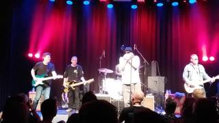 The Red Devils - BOSUIL WEERT 3-06-2017 ( Big Pete vocals \u0026 Harmonica )